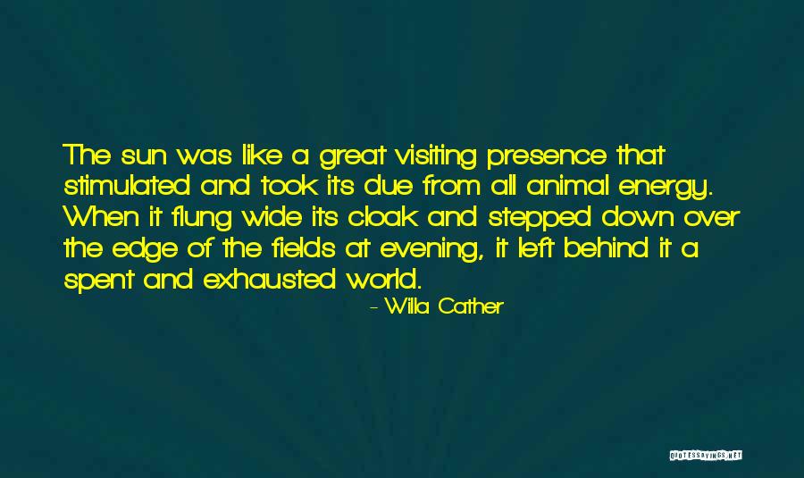 That Evening Sun Quotes By Willa Cather That Evening Sun Quotes By Willa Cather