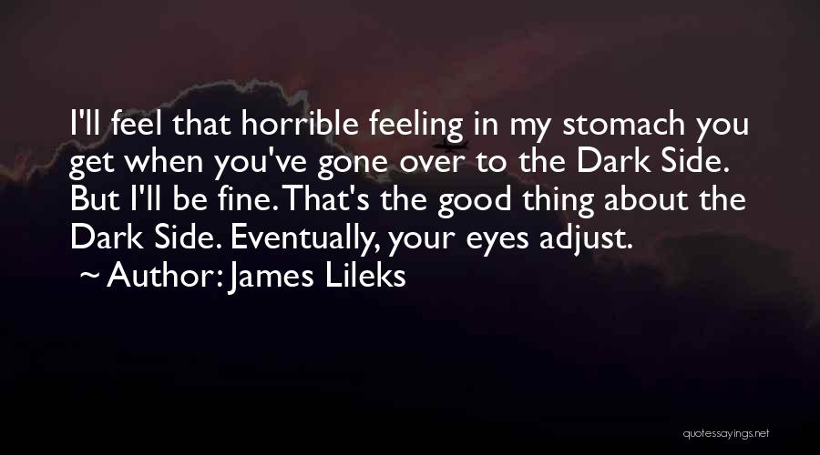 That Feeling When You Quotes By James Lileks