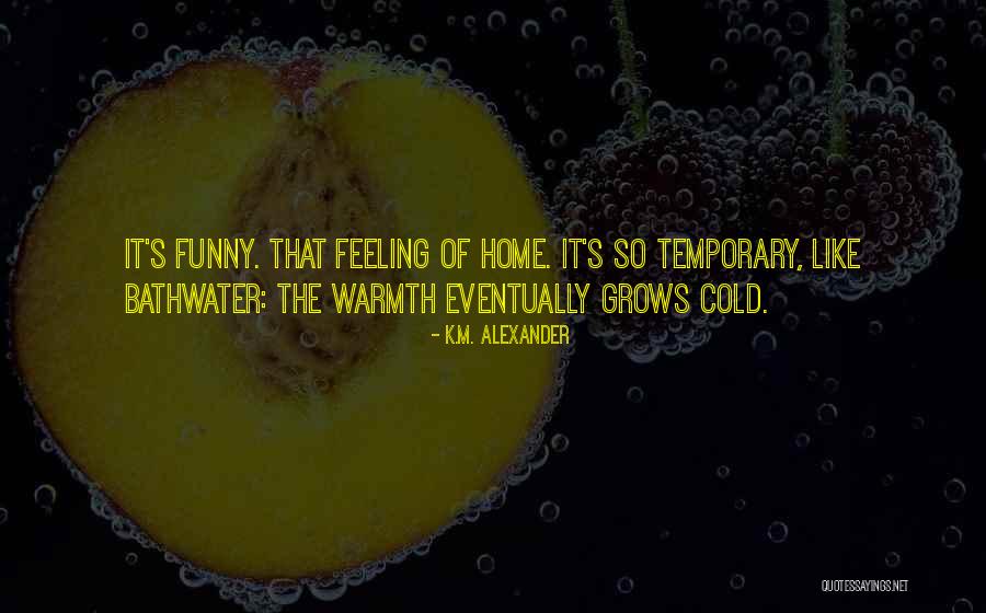 That Funny Feeling Quotes By K.M. Alexander That Funny Feeling Quotes By K.M. Alexander