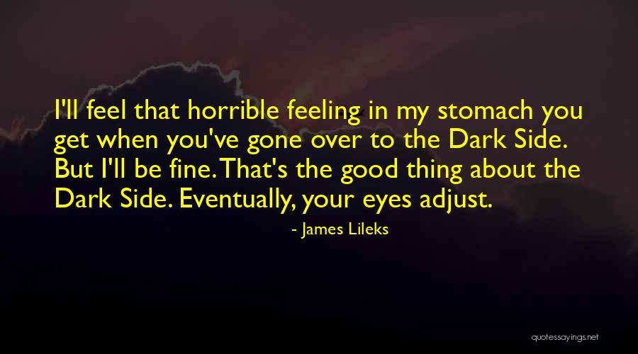 That Good Feeling Quotes By James Lileks