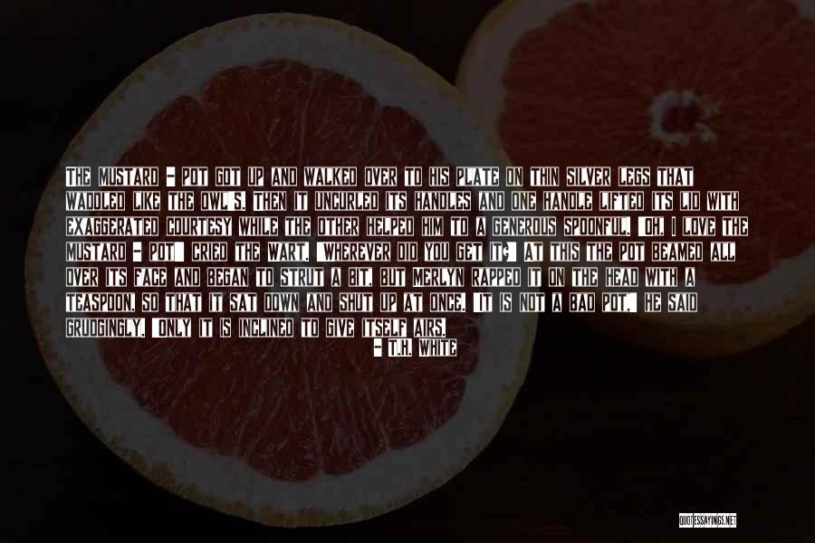 That Its Not So Bad Quotes By T.H. White