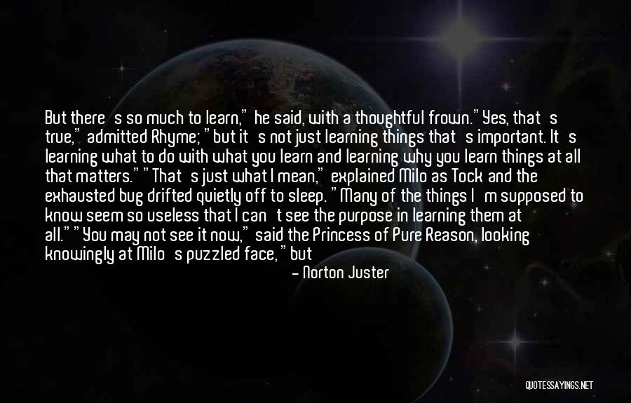 That Knowledge Matters Quotes By Norton Juster That Knowledge Matters Quotes By Norton Juster