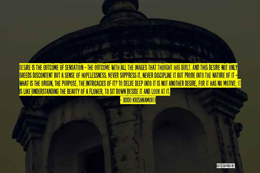 That Look Quotes By Jiddu Krishnamurti That Look Quotes By Jiddu Krishnamurti