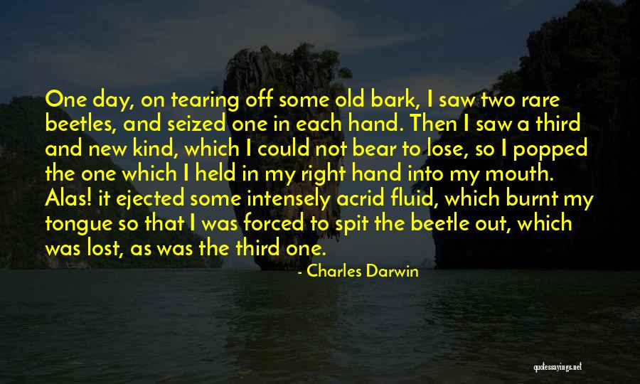 That Right One Quotes By Charles Darwin