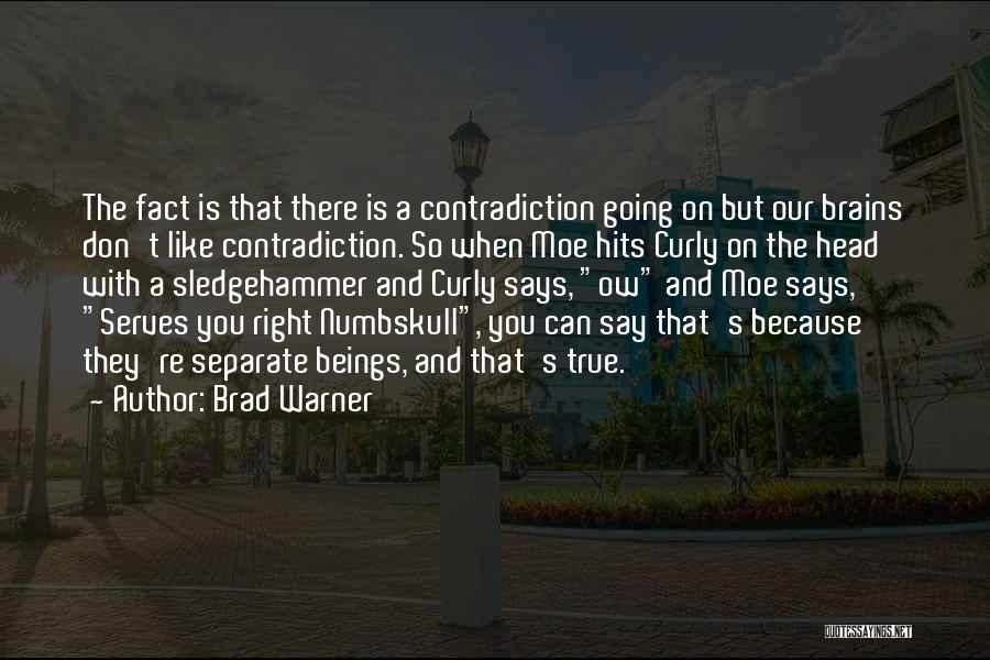 That So True Quotes By Brad Warner