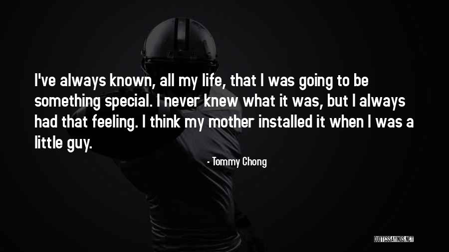 That Special Feeling Quotes By Tommy Chong That Special Feeling Quotes By Tommy Chong