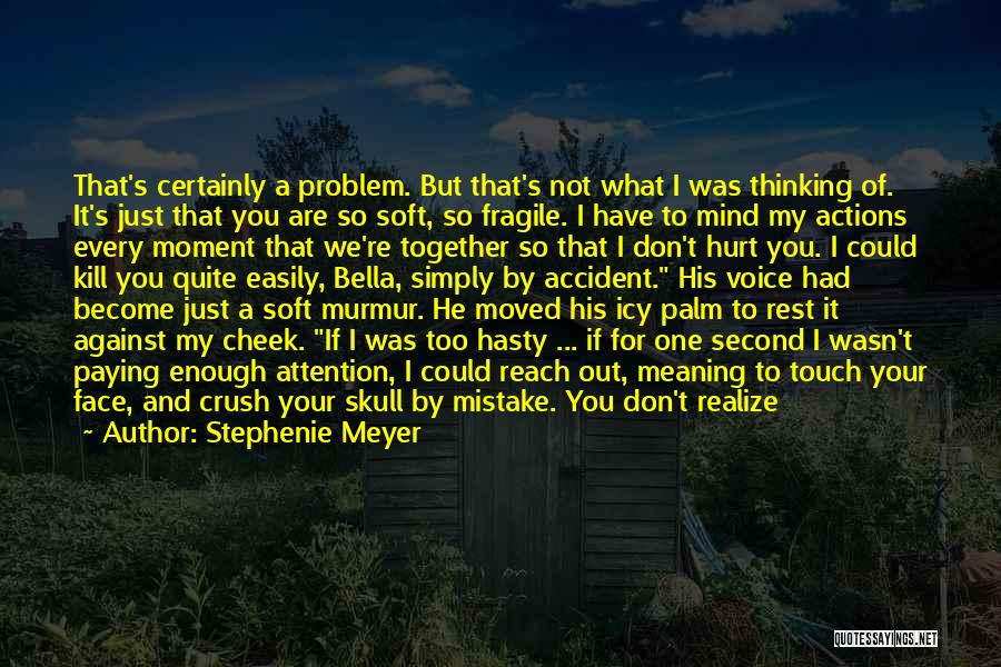 That Was My Mistake Quotes By Stephenie Meyer
