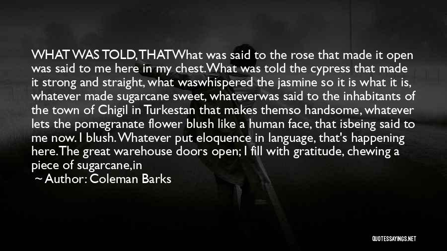 That Was So Sweet Quotes By Coleman Barks