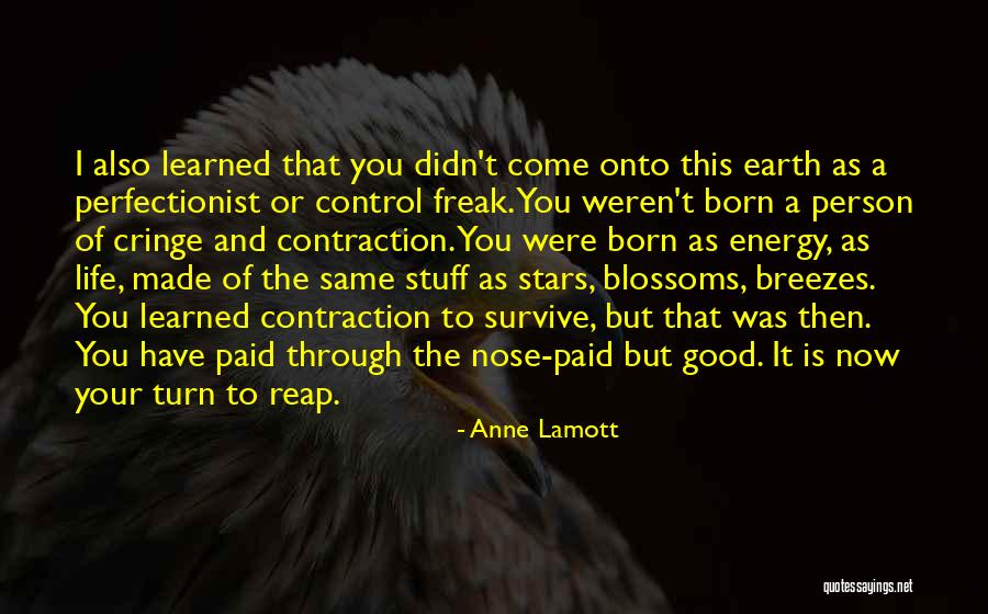 That Was Then This Is Now Quotes By Anne Lamott That Was Then This Is Now Quotes By Anne Lamott