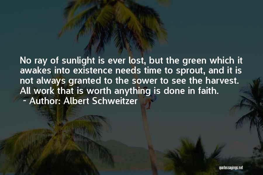 That Which Is Lost Quotes By Albert Schweitzer