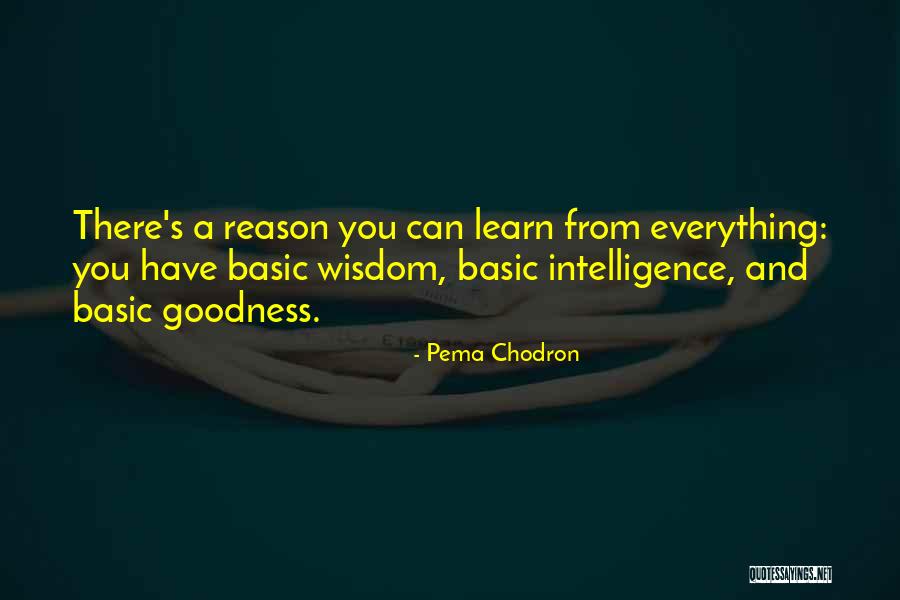 Thatchers Training Quotes By Pema Chodron Thatchers Training Quotes By Pema Chodron