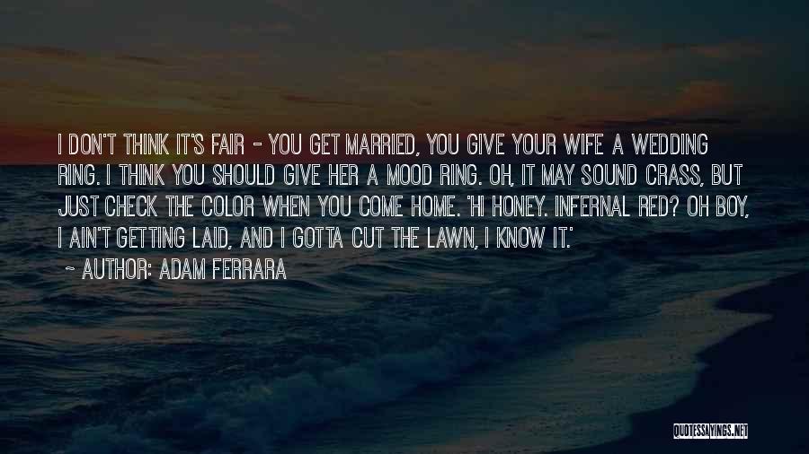 That's My Boy Wedding Quotes By Adam Ferrara