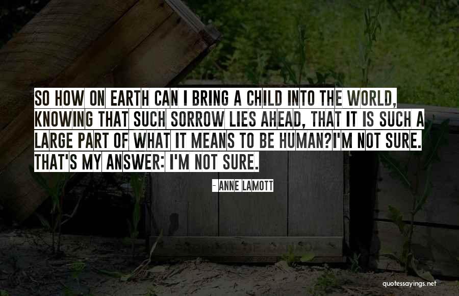 That's My Child Quotes By Anne Lamott That's My Child Quotes By Anne Lamott