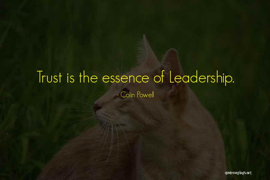 Thatssewlisa Quotes By Colin Powell Thatssewlisa Quotes By Colin Powell