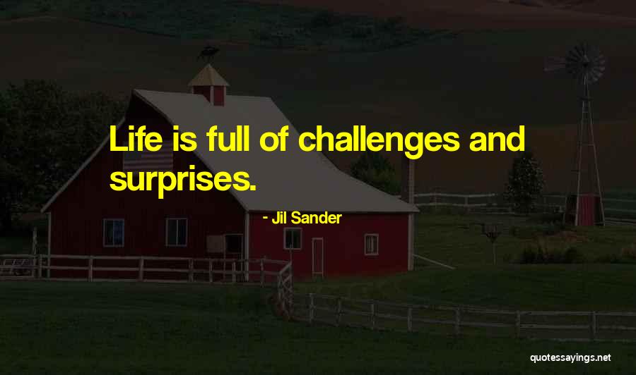 Thautiatul Quotes By Jil Sander