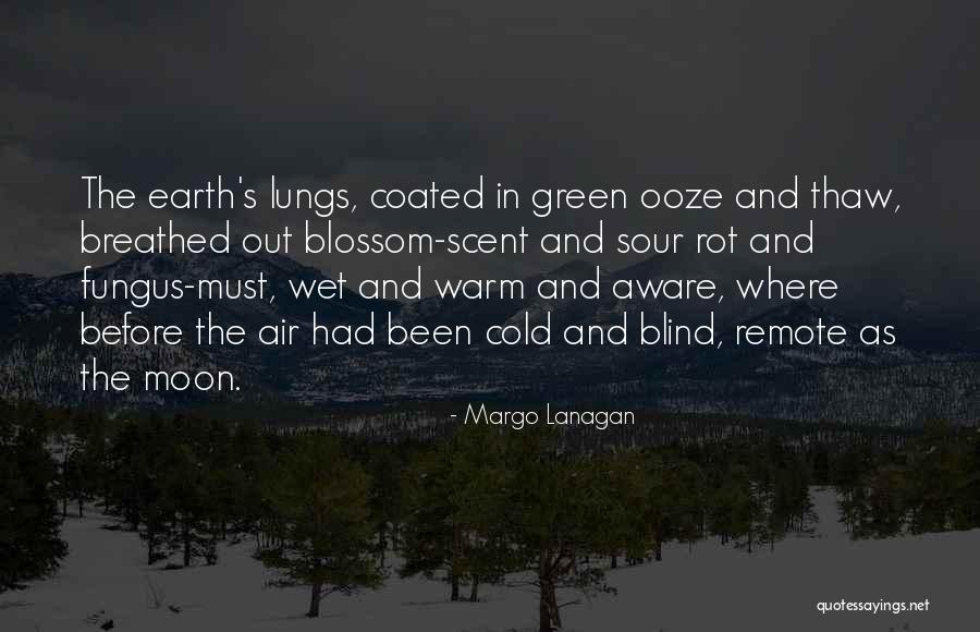 Thaw Out Quotes By Margo Lanagan Thaw Out Quotes By Margo Lanagan