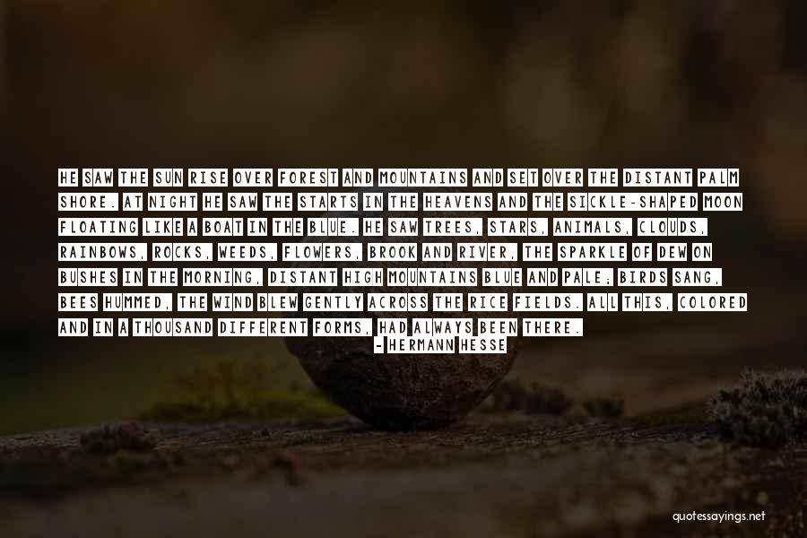 Thawdaddy Quotes By Hermann Hesse Thawdaddy Quotes By Hermann Hesse
