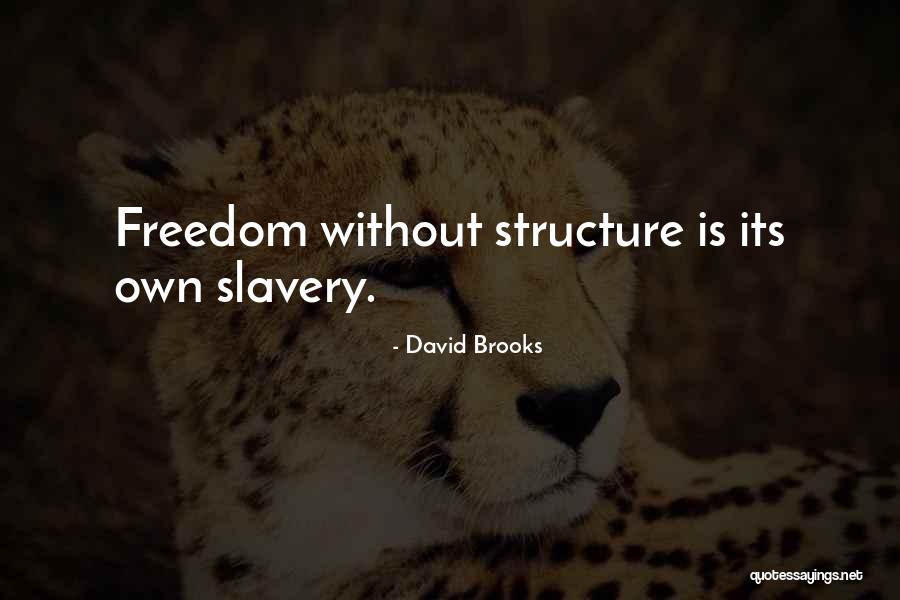 Thawrih Quotes By David Brooks Thawrih Quotes By David Brooks