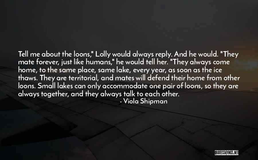 Thaws Out Quotes By Viola Shipman Thaws Out Quotes By Viola Shipman