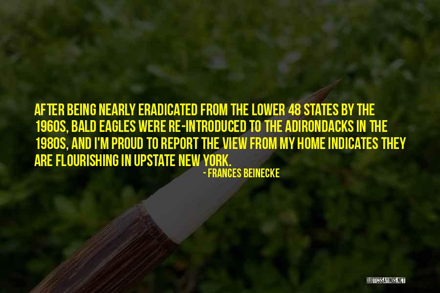 The 1980s Quotes By Frances Beinecke The 1980s Quotes By Frances Beinecke