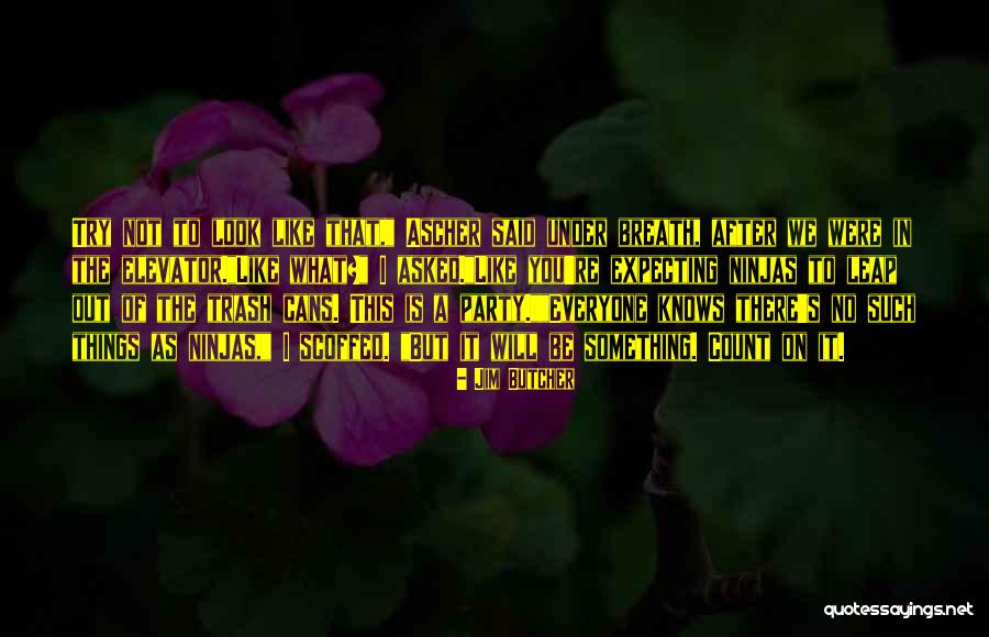 The 3 Ninjas Quotes By Jim Butcher The 3 Ninjas Quotes By Jim Butcher