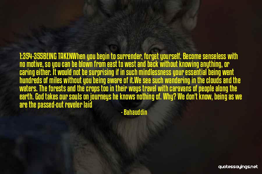 The 355 Quotes By Bahauddin The 355 Quotes By Bahauddin