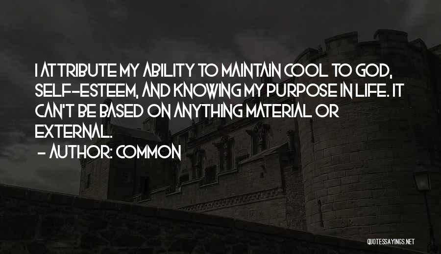 The Accidental Billionaires Quotes By Common The Accidental Billionaires Quotes By Common