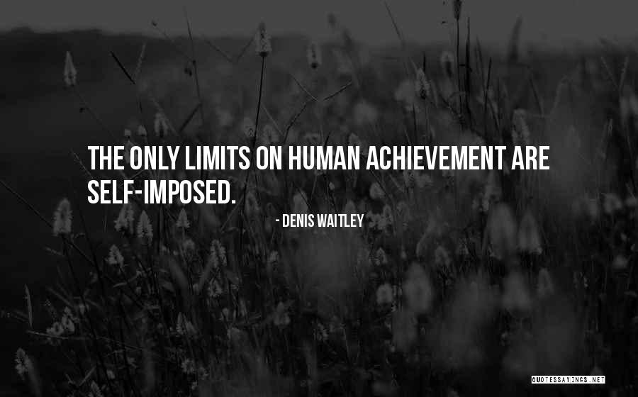 The Achievement Quotes By Denis Waitley