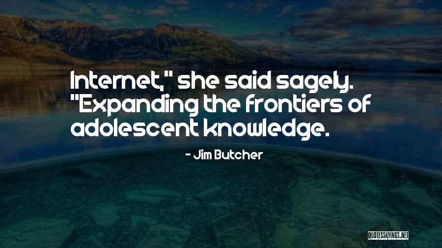 The Adolescent Quotes By Jim Butcher