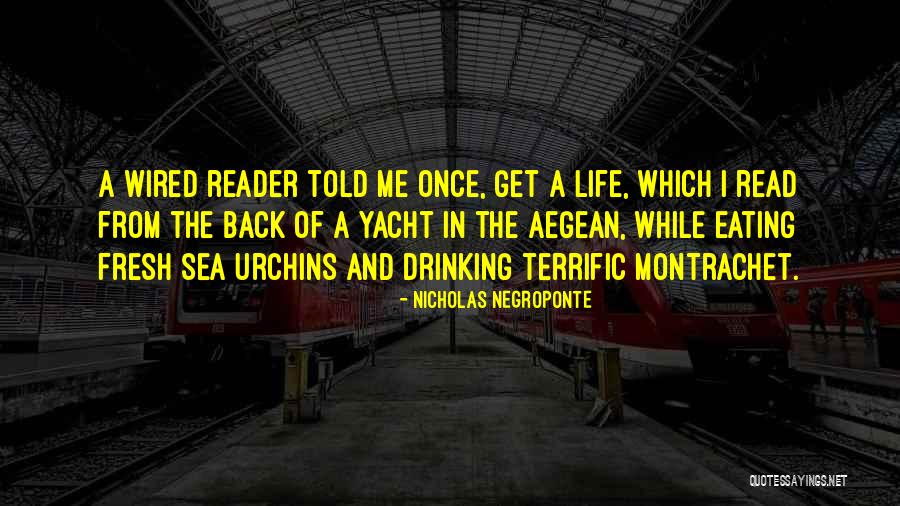 The Aegean Sea Quotes By Nicholas Negroponte The Aegean Sea Quotes By Nicholas Negroponte