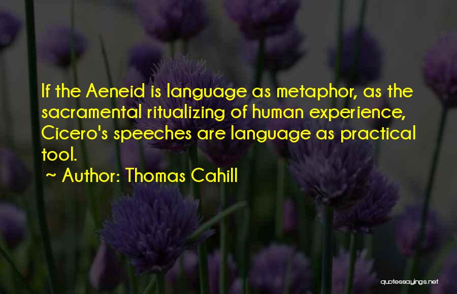 The Aeneid Quotes By Thomas Cahill