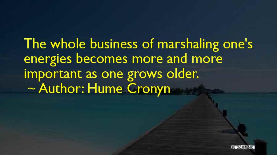 The Age Business Quotes By Hume Cronyn