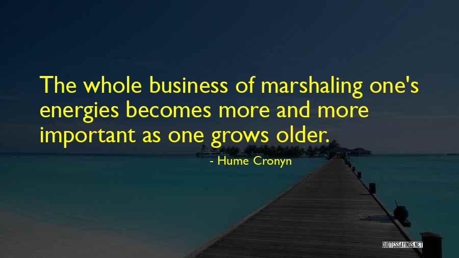 The Age Business Quotes By Hume Cronyn