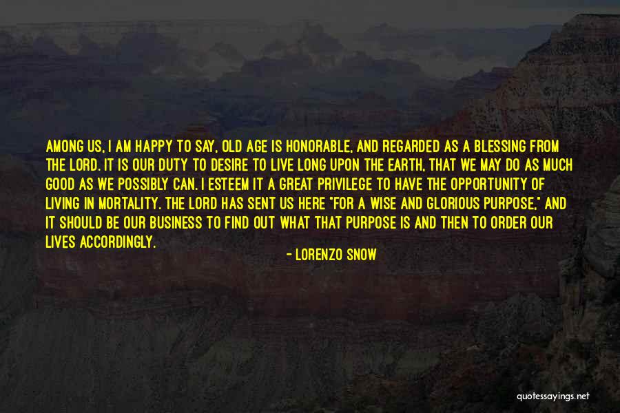 The Age Business Quotes By Lorenzo Snow