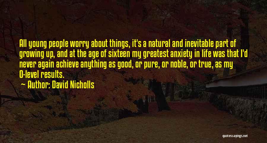 The Age Of Anxiety Quotes By David Nicholls