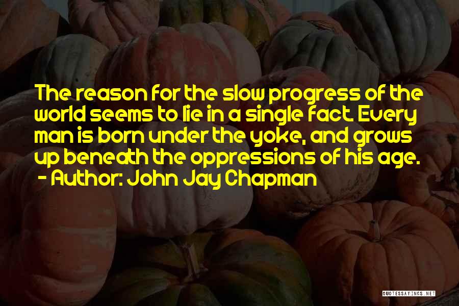 The Age Of Reason Quotes By John Jay Chapman