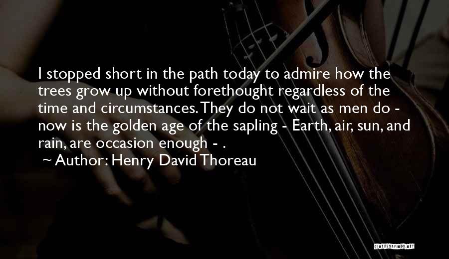 The Age Of The Earth Quotes By Henry David Thoreau