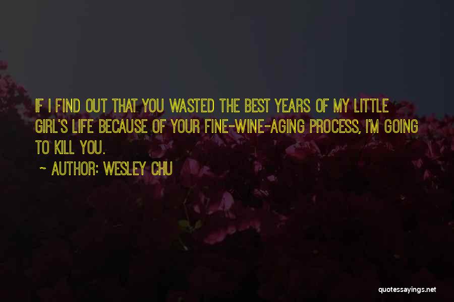 The Aging Process Quotes By Wesley Chu