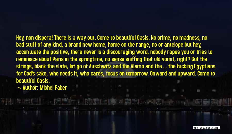 The Alamo Quotes By Michel Faber