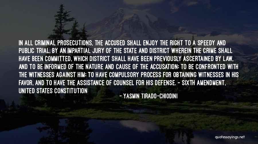 The Amendment Process Quotes By Yasmin Tirado-Chiodini The Amendment Process Quotes By Yasmin Tirado-Chiodini