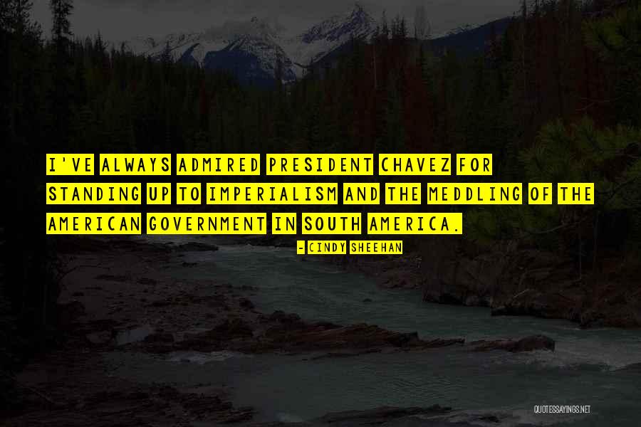 The American South Quotes By Cindy Sheehan The American South Quotes By Cindy Sheehan