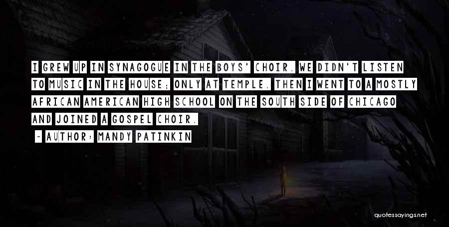 The American South Quotes By Mandy Patinkin