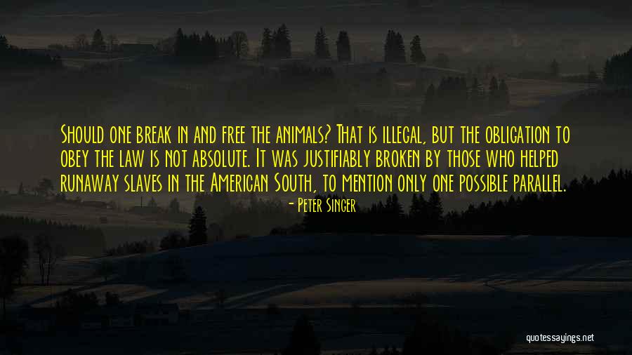 The American South Quotes By Peter Singer