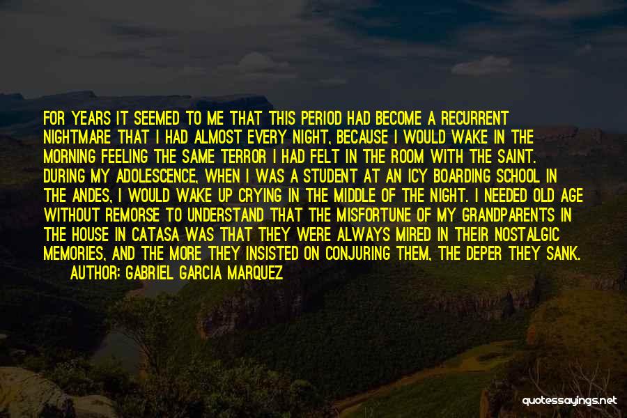 The Andes Quotes By Gabriel Garcia Marquez