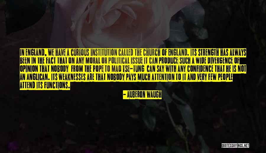 The Anglican Church Quotes By Auberon Waugh The Anglican Church Quotes By Auberon Waugh
