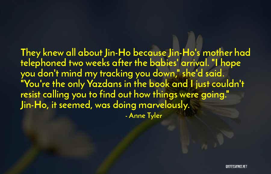 The Arrival Book Quotes By Anne Tyler The Arrival Book Quotes By Anne Tyler