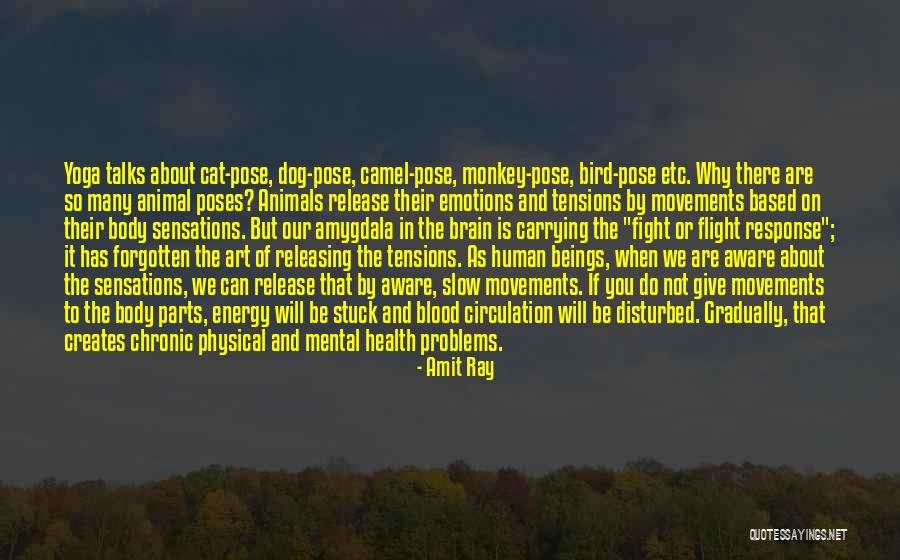 The Art Of Flight Quotes By Amit Ray The Art Of Flight Quotes By Amit Ray
