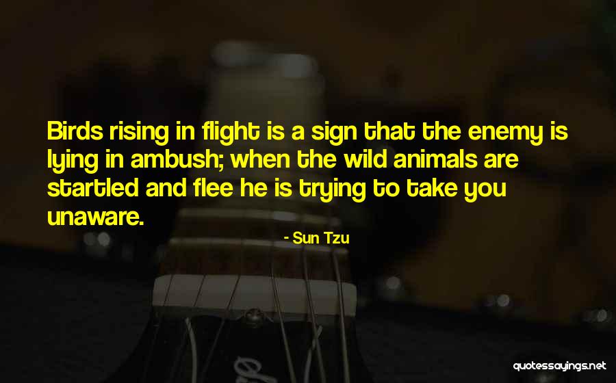 The Art Of Flight Quotes By Sun Tzu The Art Of Flight Quotes By Sun Tzu