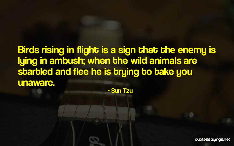 The Art Of Flight Quotes By Sun Tzu