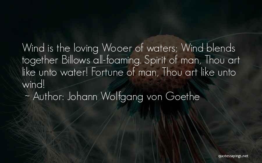 The Art Of Loving Quotes By Johann Wolfgang Von Goethe